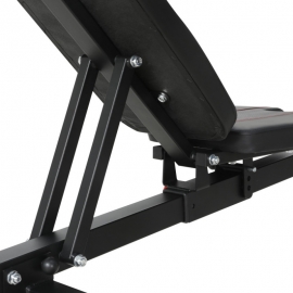 Скамья под штангу Alpin Titan G-50