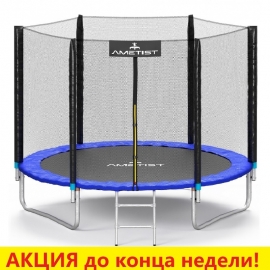 Батут "Ametist" (10 ft) PLUS с внешней сеткой и лестницей. Диаметр - 312 см. Нагрузка - 150 кг.