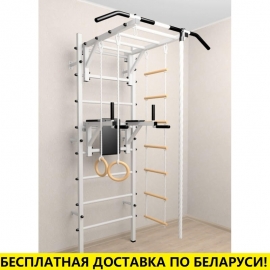 Шведская стенка + турник рукоход + брусья + детское навесное (SV Sport 523)