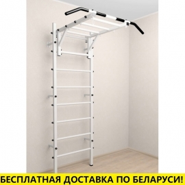 Шведская стенка + турник рукоход (SV Sport 520)