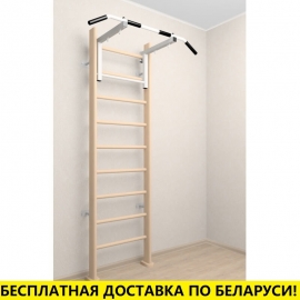 Деревянная шведская стенка с турником стандарт (SV Sport 901 (светлый))