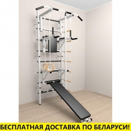 Шведская стенка + турник стандарт + брусья + скамья + стойка под штангу + детское навесное (SV Sport 508)